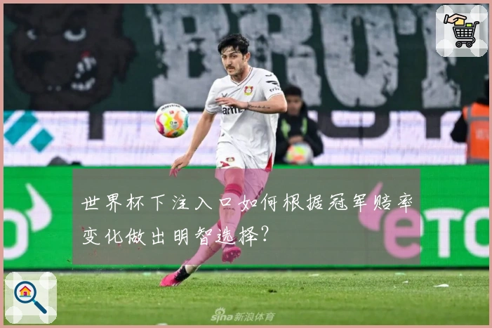 世界杯下注入口如何根据冠军赔率变化做出明智选择?